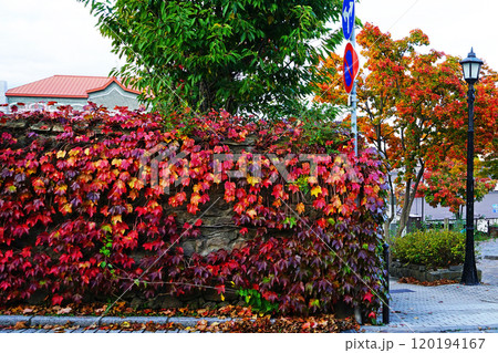 北海道　函館 120194167