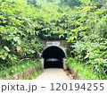 島武意海岸トンネルいり口 (北海道積丹町) 島武意海岸トンネルいり口 (北海道積丹町) 120194255