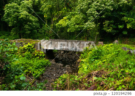 Stone Bridge on the Road to Hana, Maui, Hawaii 120194296