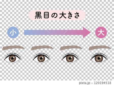 The size of the pupil 120194518