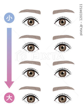 カラコンの直径の大きさセット カラコンの直径の大きさセット 120194521