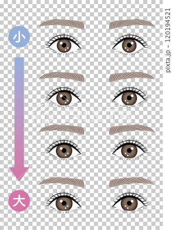 カラコンの直径の大きさセット カラコンの直径の大きさセット 120194521