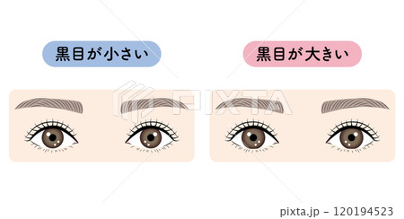 黒の目の大きさの大小 黒の目の大きさの大小 120194523