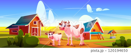 Cow and calf in farm field 120194650