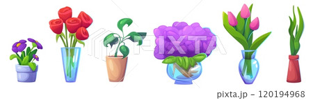 House plants with flower heads in pot and vase. 120194968
