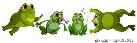 Cute toad frog character jump cartoon illustration Cute toad frog character jump cartoon illustration 120195019