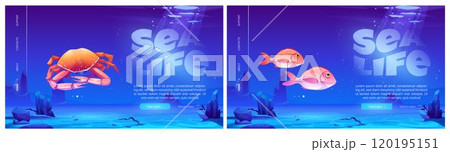 Sea life website templates set 120195151