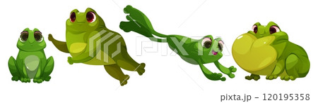 Cute frog cartoon character sitting and jumping. Cute frog cartoon character sitting and jumping. 120195358