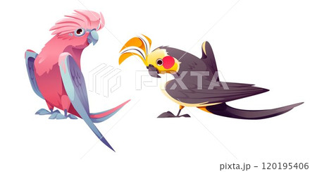 Cute parrot character. Isolated jungle bird vector 120195406