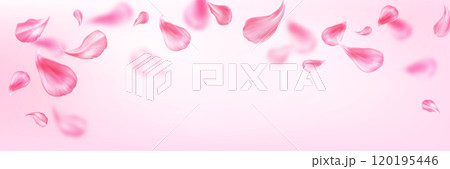 Pastel bg with pink flower petal for spa service 120195446