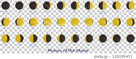 月の満ち欠け 背景無し 月の満ち欠け 背景無し 120195451