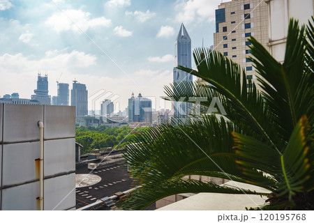 View of Shanghai's skyline featuring the Shanghai World Financial Center, modern skyscrapers, and a large palm frond under a partly cloudy sky. 120195768