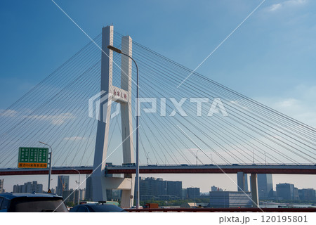 The Yangpu Bridge in Shanghai, China, features tall pylons and cables against a blue sky, with the urban skyline and modern buildings in the background. 120195801