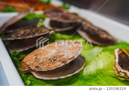 Several scallop shells are displayed on fresh green lettuce, showcasing their natural texture and markings. The arrangement suggests a seafood market or restaurant. 120196324
