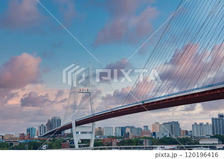 Yangpu Bridge spans the Huangpu River in Shanghai, China, with white pylons and a red deck. The skyline features modern skyscrapers and older buildings. Yangpu Bridge spans the Huangpu River in Shanghai, China, with white pylons and a red deck. The skyline features modern skyscrapers and older buildings. 120196416
