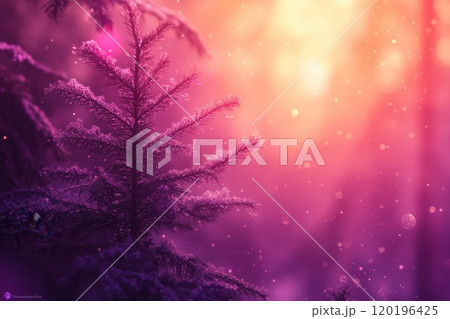 The enchanting glow of a vivid sunset filters through a serene forest, illuminating snow-dusted 120196425