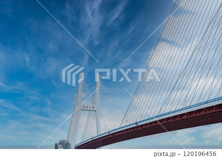 The Nanpu Bridge in Shanghai features towering pylons and cables against a clear blue sky, highlighting its architectural elegance and urban significance. 120196456