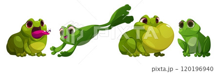 Cute frog cartoon character in different poses. 120196940