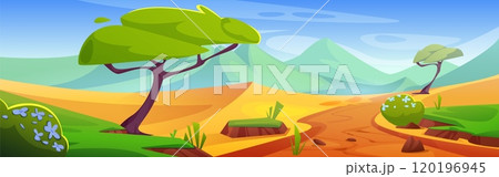 African savannah desert landscape with road 120196945