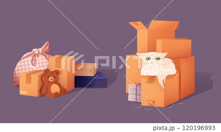Cardboard box piles with house stuff. 120196993