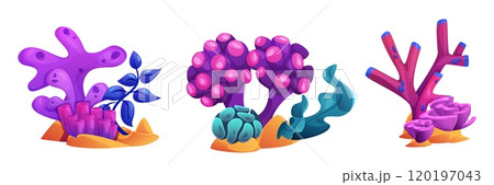 Underwater reef and coral plant for ocean vector Underwater reef and coral plant for ocean vector 120197043