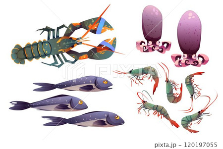 Cartoon seafood set isolated on white background 120197055