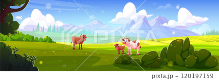 Farm summer landscape with cow pasture 120197159