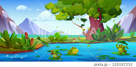 Cute green frog on pond or river 120197252