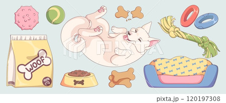 Dog toy, bed and food icon for pet shop cartoon 120197308
