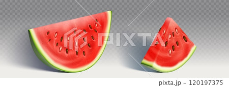 Watermelon half and triangle slice Watermelon half and triangle slice 120197375