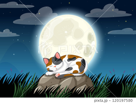 Cat Sleeping Under the Full Moon 120197580