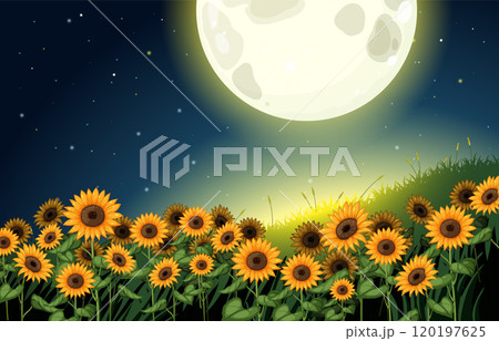 Sunflowers Under a Full Moon 120197625