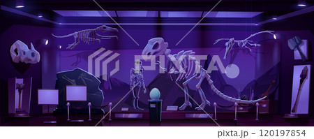 Dinosaur exhibit in museum at night 120197854