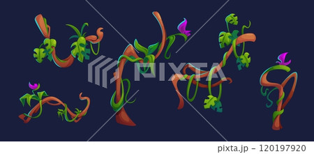 Jungle liana branch with leaves and flowers. Jungle liana branch with leaves and flowers. 120197920