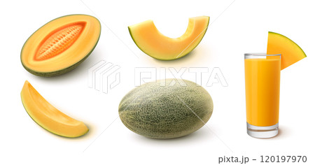 3d realistic sweet cantaloupe melon fruit vector 120197970