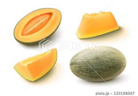 Ripe juicy sweet melon fruit 3d 120198087