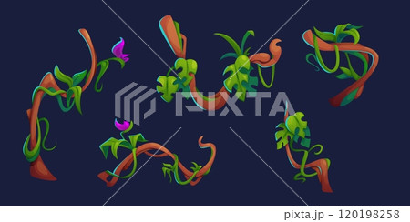 Liana vines set isolated on black background 120198258