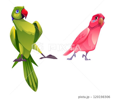 Cute parrot character. Happy jungle bird vector 120198306