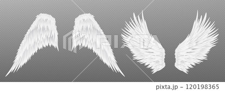 3d white realistic angel wing isolated vector 120198365