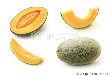 Ripe juicy sweet melon fruit 3d 120198373