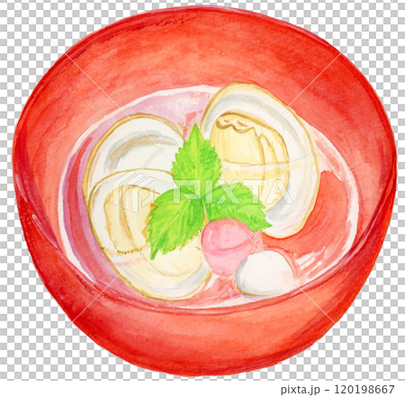 手描き水彩のはまぐりのお吸い物イラスト 120198667