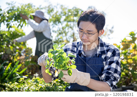 夫婦で楽しむガーデニング 日本人男性 秋の植え付け 夫婦で楽しむガーデニング 日本人男性 秋の植え付け 120198831