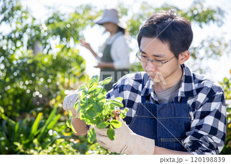 夫婦で楽しむガーデニング 日本人男性 秋の植え付け 夫婦で楽しむガーデニング 日本人男性 秋の植え付け 120198839