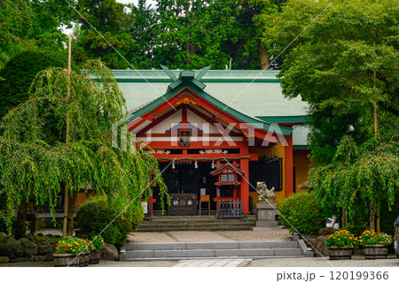 御殿場新橋浅間神社の風景 御殿場新橋浅間神社の風景 120199366
