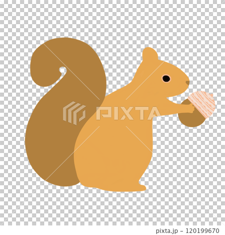松鼠拿著橡子的插圖 120199670