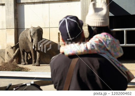 家族で動物園を楽しむイメージ画像 120200402