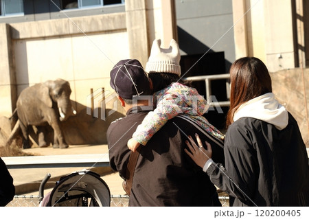 家族で動物園を楽しむイメージ画像 120200405