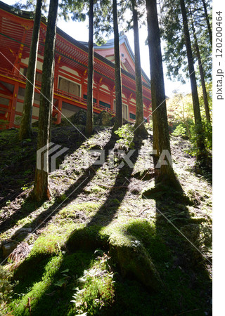比叡山延暦寺　横川中堂　滋賀県大津市坂本 120200464