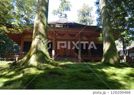 比叡山延暦寺 常行堂 滋賀県大津市坂本 比叡山延暦寺 常行堂 滋賀県大津市坂本 120200466