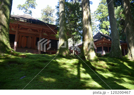 比叡山延暦寺 常行堂と法華堂 滋賀県大津市坂本 比叡山延暦寺 常行堂と法華堂 滋賀県大津市坂本 120200467